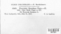 Image Associated With the Occurence